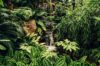Exotic Angel Plant Care: Tips for Thriving Houseplants