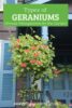 Types of Geraniums: Discover Annual Pelargoniums for Your Garden