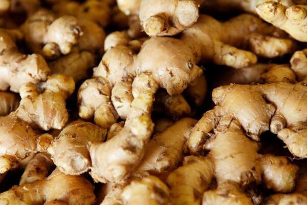 Top 5 Ginger Varieties and Their Uses