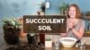 Succulent Soil: Choosing the Right Mix for Thriving Plants